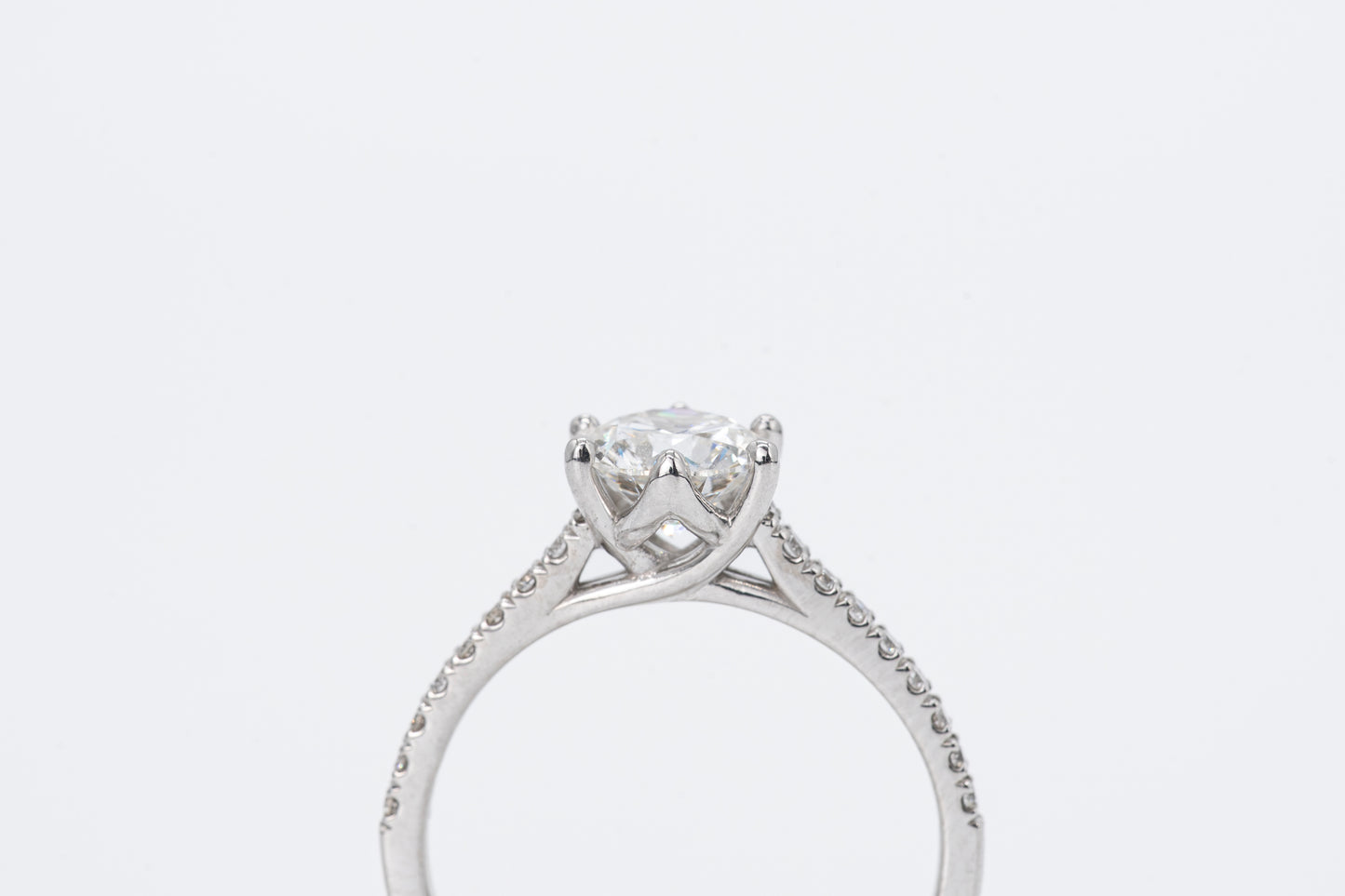 ELARA - 18CT White Gold Diamond Ring